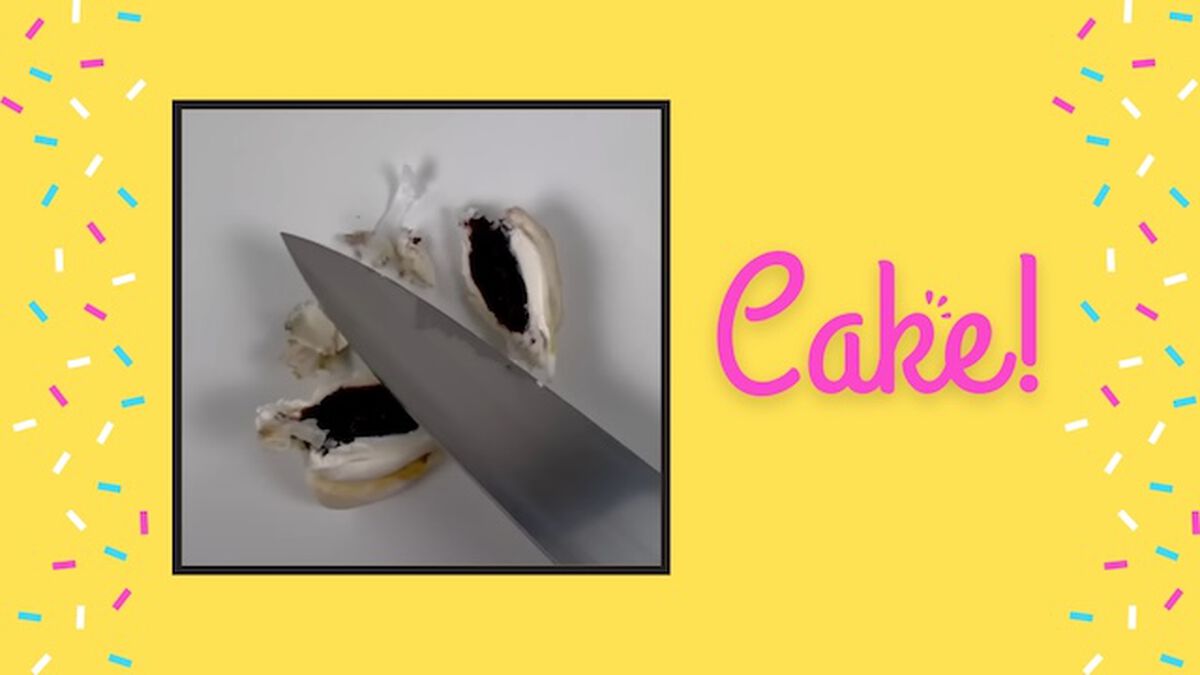 Real or Cake: Volume 2 image number null